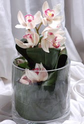  Ankara internetten iek siparii  Cam yada mika vazo ierisinde tek dal orkide