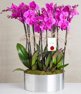 11 dall mor orkide metal vazoda  Ankara iek gnderme sitemiz gvenlidir 